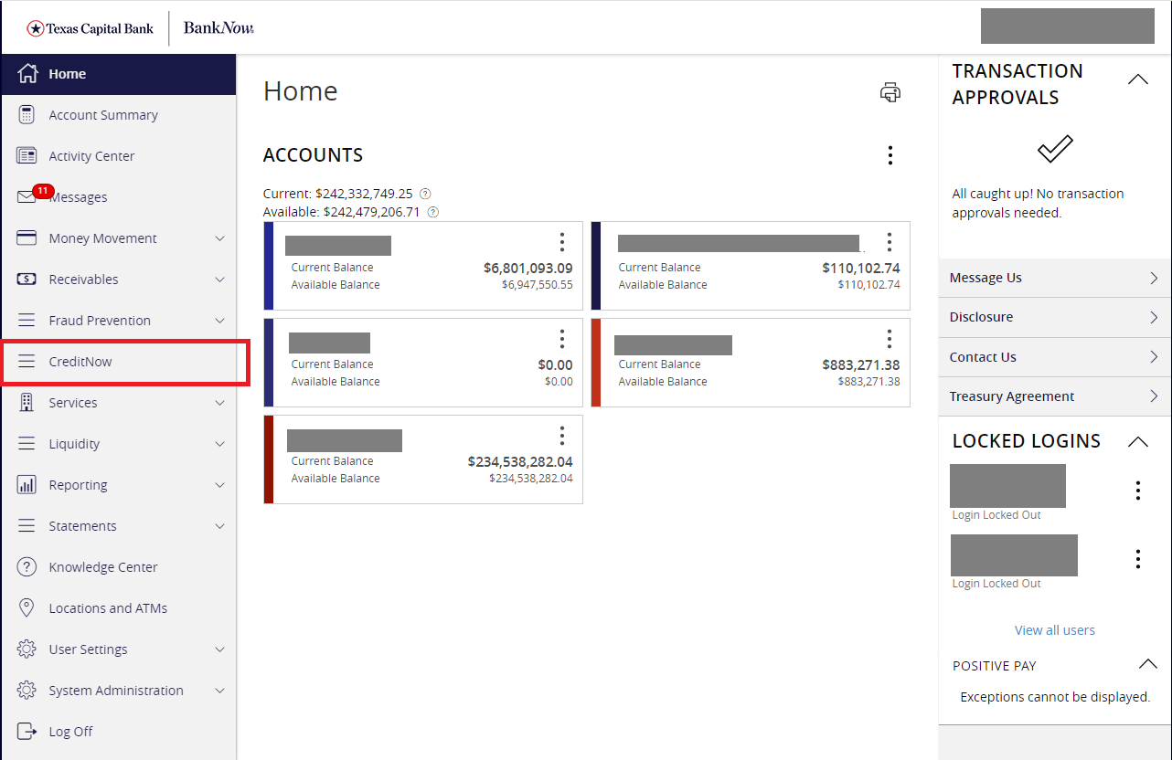 Screenshot- BankNow CreditNow section of online banking platform