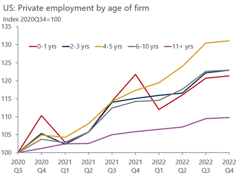 line graph- US: Private employment by age of firm