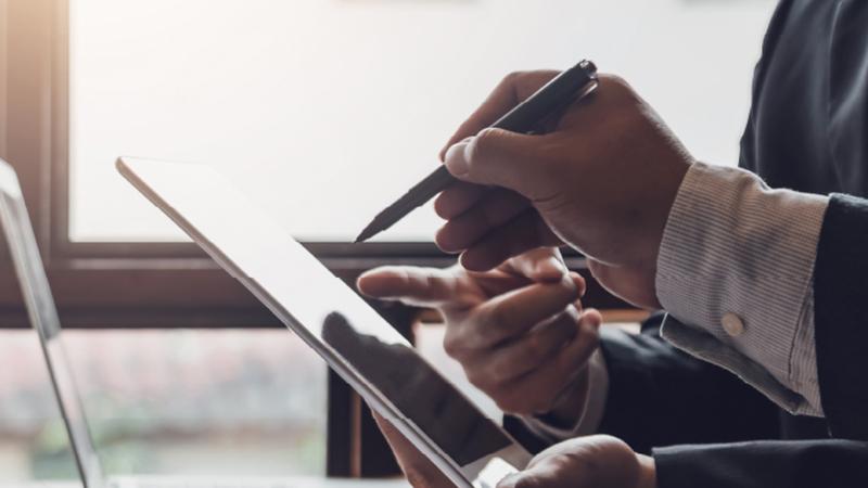 Investment Insights