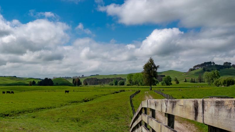 fence and field