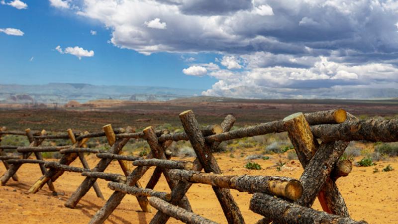 Wooden Fence