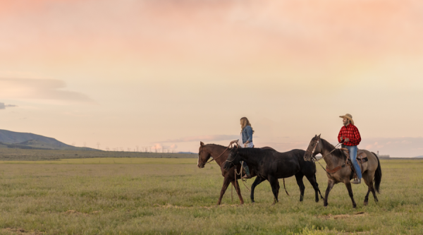 Cowboy and Cowgirl Ride Into the Sunset