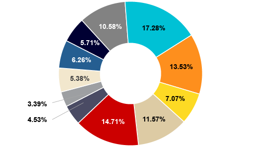 pie graph- syntax midcap 800