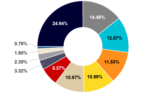 pie graph- Texas Capital Texas Equity Index